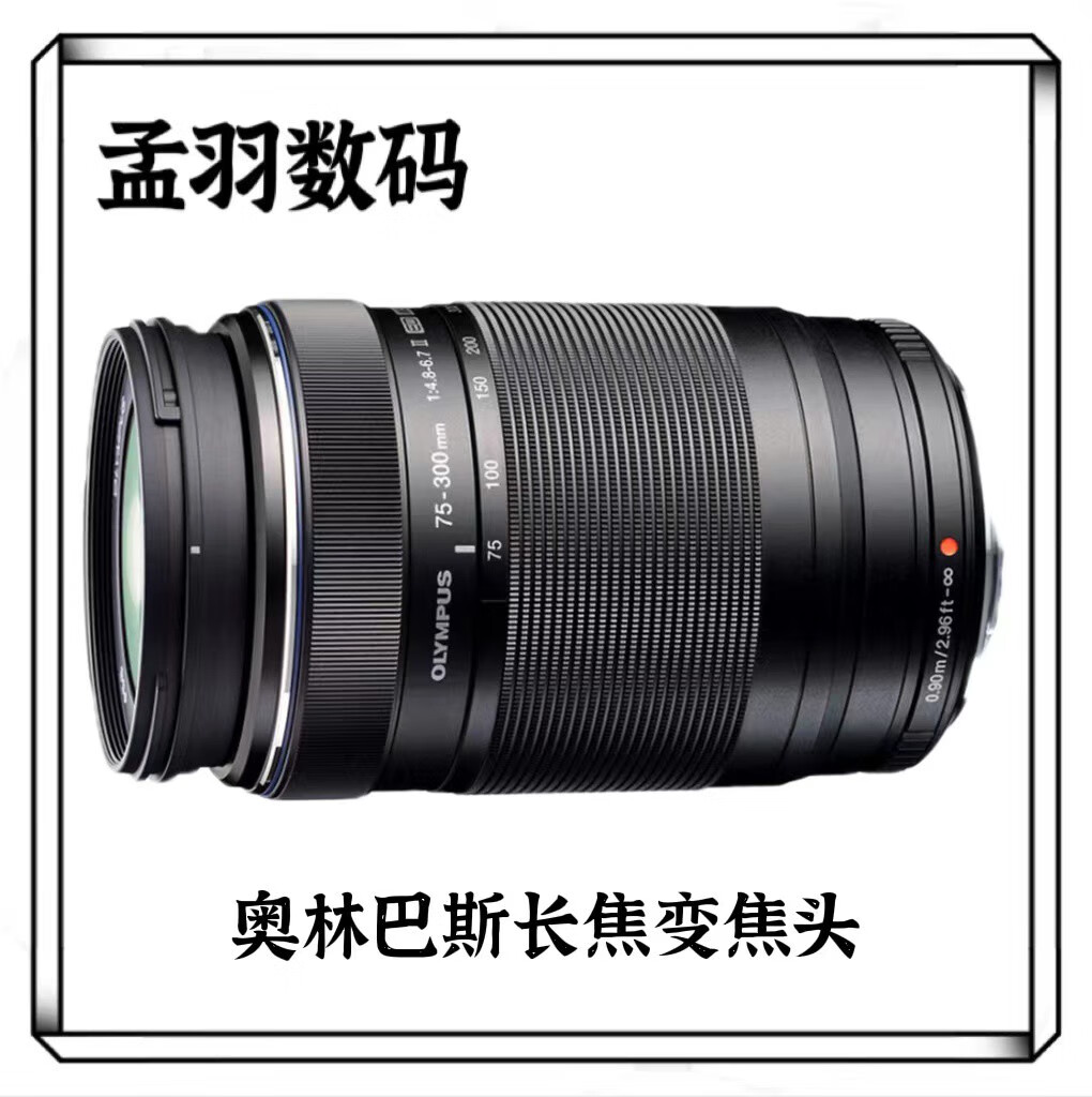 奥林巴斯75-300二代长焦 40-150 微单远摄镜头 14-140打鸟摄月 L卡口 奥林巴斯75-300二代99新