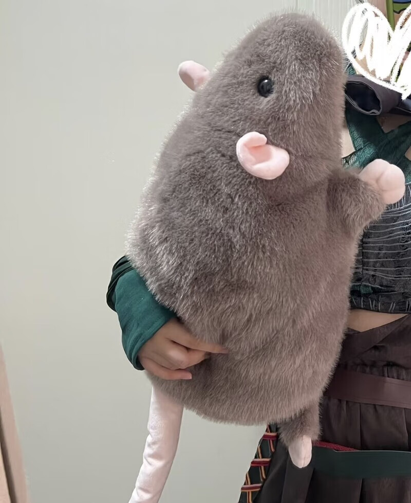 云智星花枝鼠玩偶抱枕仿真大老鼠毛绒玩具可爱搞怪豚鼠女生男友生日