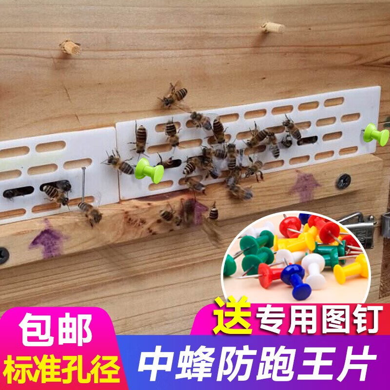 蜂之家 中蜂蜂王防跑片 防跑王片防逃王片隔王栅养蜂工具蜂箱防逃器