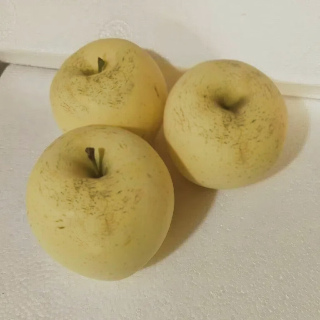 佑嘉木(BlessedWood)山东烟台奶油富士苹果新鲜水果脆甜苹果节日 4.5斤普通装