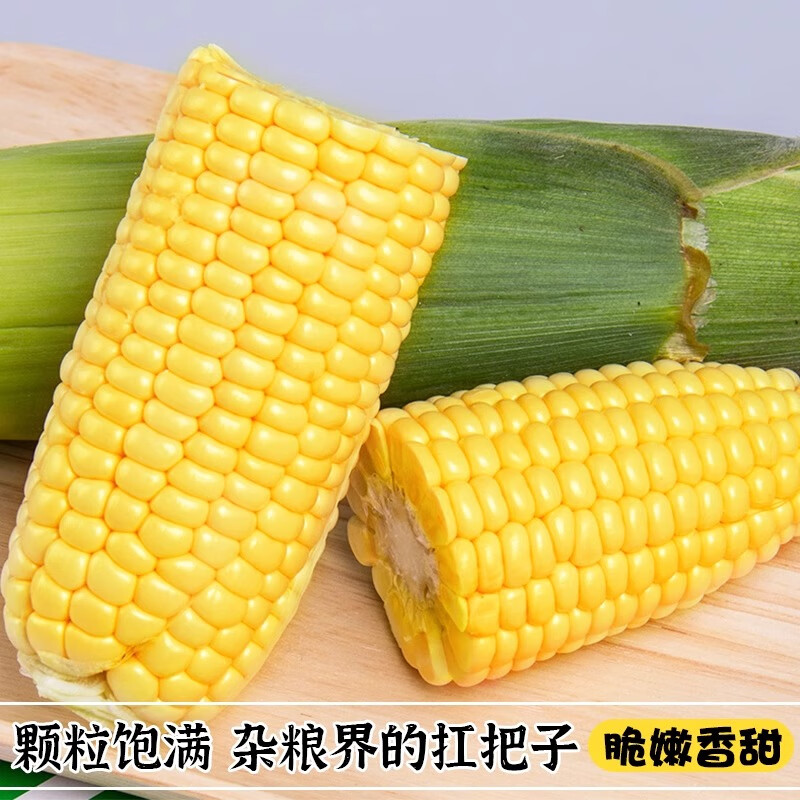 BUY云南水果玉米甜脆爆浆新鲜嫩玉米棒子代餐早晚餐 水果玉米带箱5斤