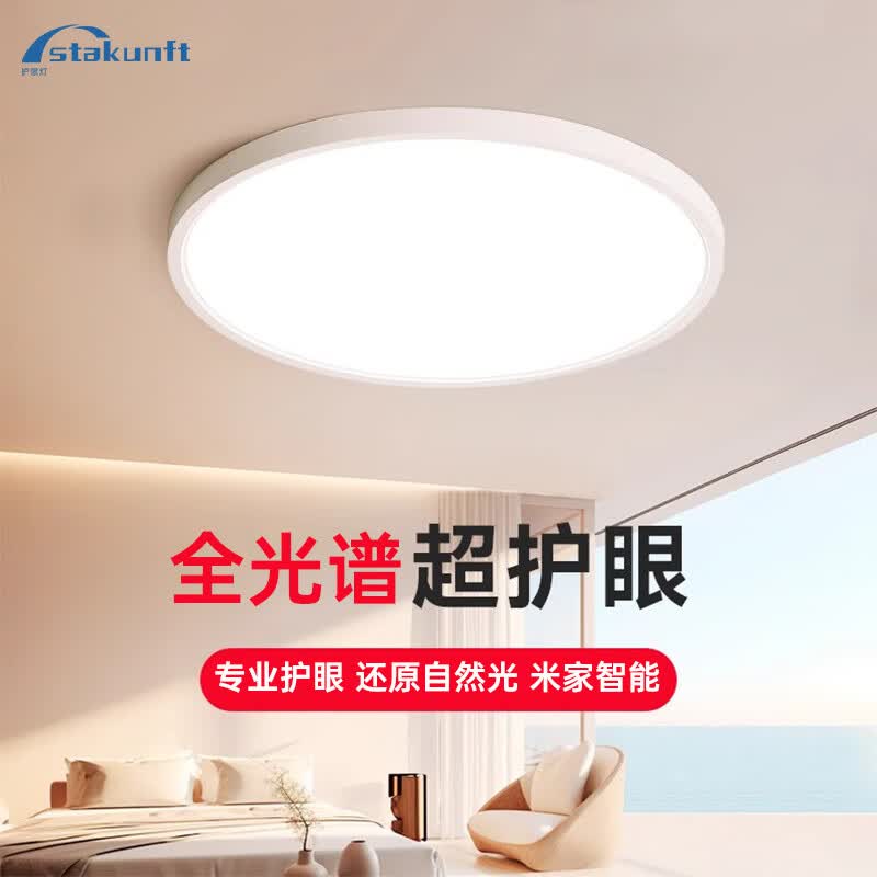 思坦库吸顶灯【政府补贴】led卧室灯具全屋客厅灯饰阳台过道餐厅简约 50W 12㎡内适用 2880lm 侧发光漫反射