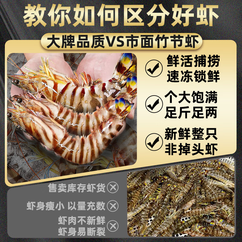 首鮮道九節(jié)蝦斑節(jié)蝦超大竹節(jié)蝦特大基圍蝦鮮活速凍大蝦海鮮黑虎蝦 1516cm黑虎蝦1KG3540只