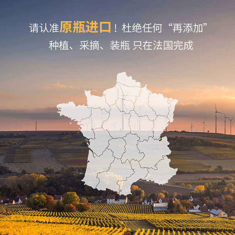 拉斐【旗舰店】法国原瓶进口红酒拉斐干红葡萄酒红酒礼盒装750ml*2瓶 金钻96红酒礼盒装