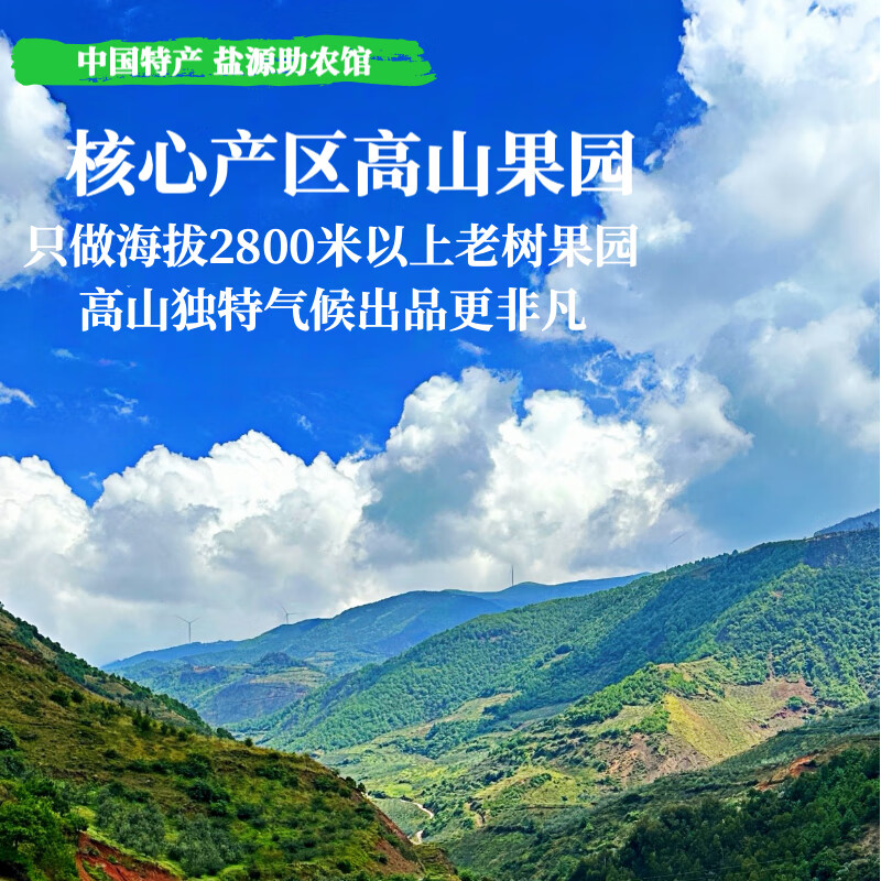 【盐源助农馆】盐源苹果高山老树果大凉山丑苹果2025水果礼盒 礼盒15枚至尊果90mm+ 净重8.5斤+