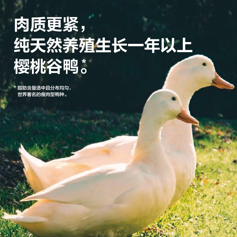 园南京鸭血粉汤丝正宗老鸭汤粉丝米线方便速食特色产小吃夜宵盒装 金陵美食鸭血粉丝168g*4盒装