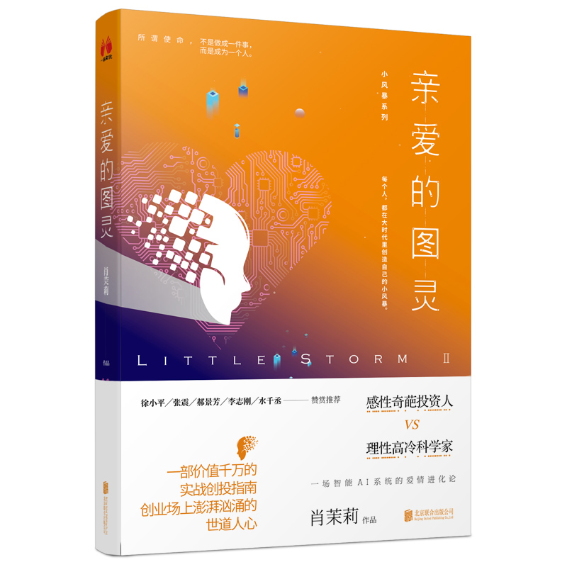 小风暴系列2：亲爱的图灵