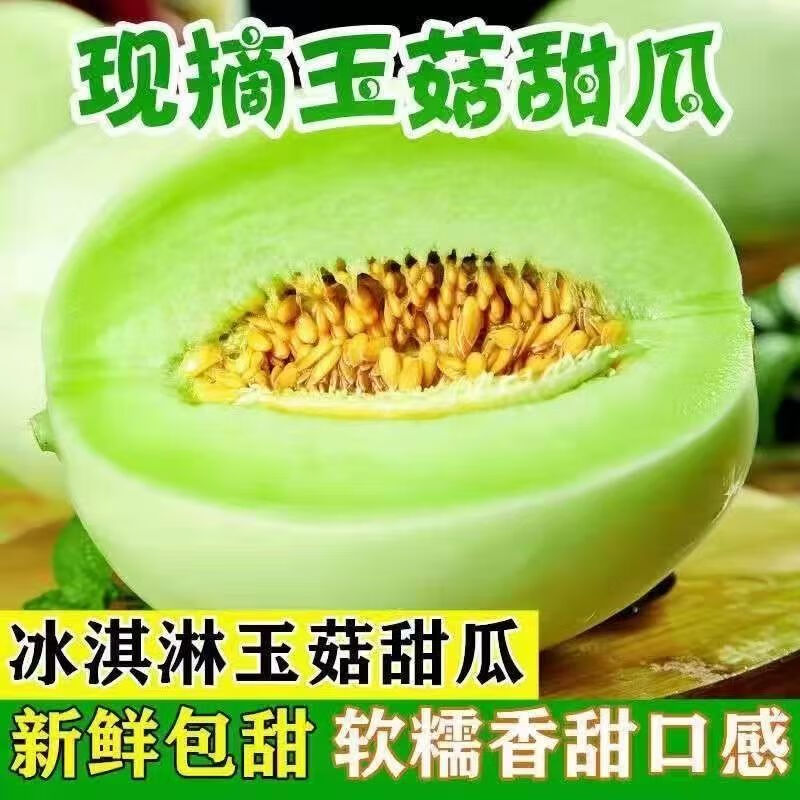 陇百味【产地直发】山东玉菇甜瓜 冰淇淋香瓜  新鲜应季当季时令水果 净重4-5斤甄选商超果【单果600g+