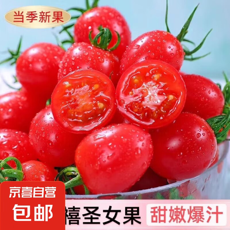 新鲜圣女果小西红柿小番茄新鲜蔬菜生鲜减肥减脂早餐沙拉现摘现发 畅销装 2斤 净重