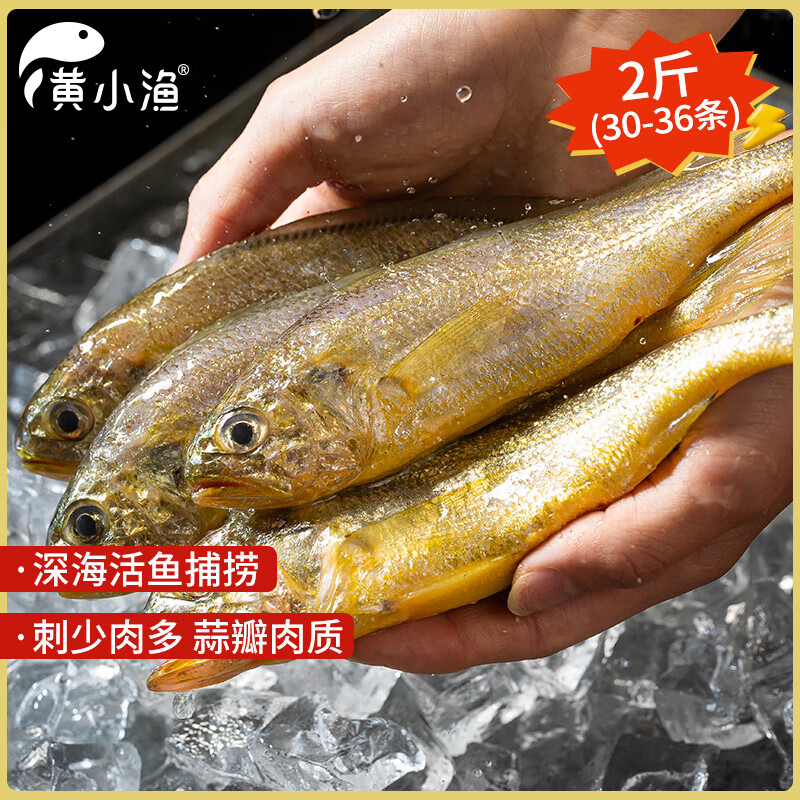 黄小渔宁德鲜捕小黄鱼2斤 15-18条/斤 冷冻黄花鱼海捕烧烤食材 生鲜鱼类