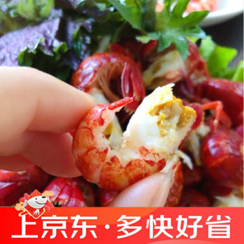 OTHER/其他W龙虾小龙虾尾现剥活尾虾球鲜活速冻非无冰小海鲜水产新款 推荐【大号3斤装】无冰衣