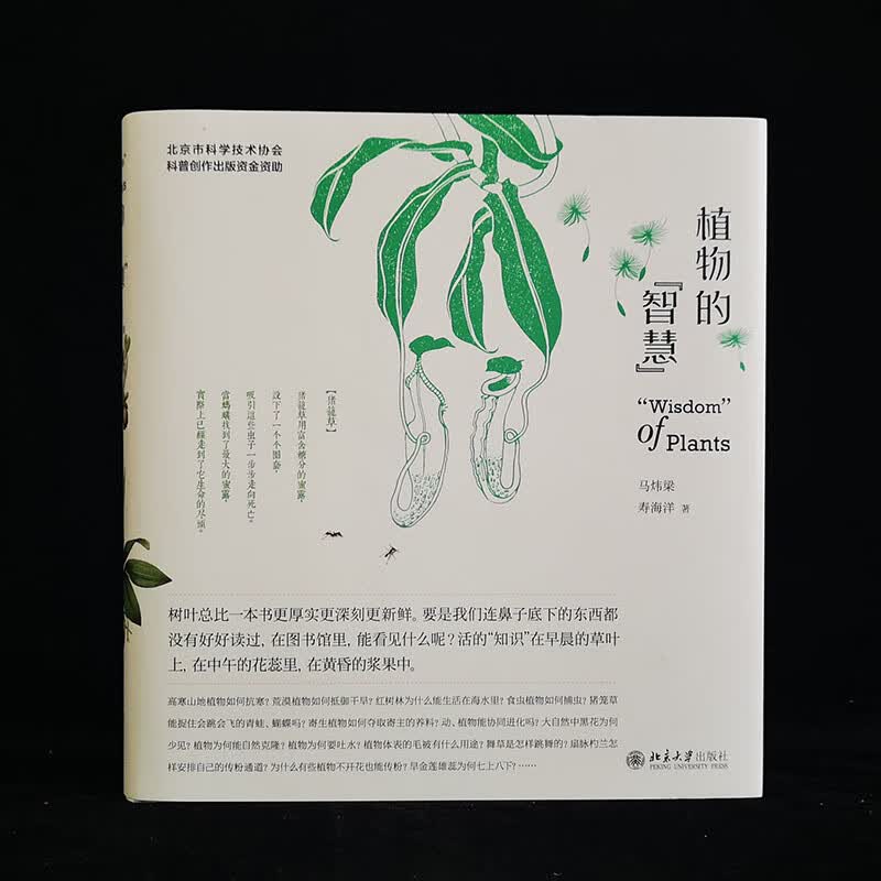 植物的“智慧”