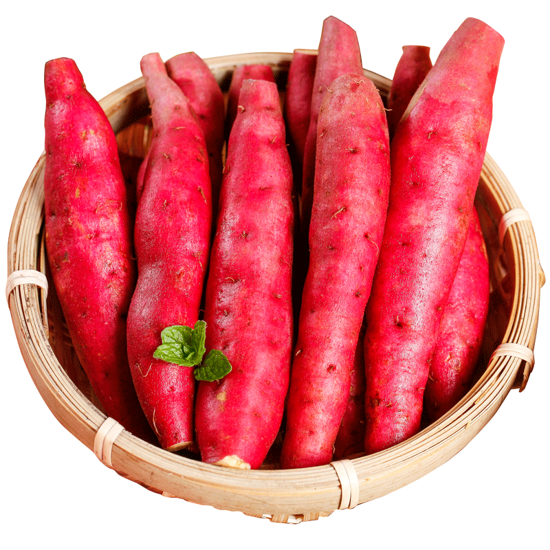 2025������С�������ʷ������������ع���Ŵ����ָĴָ�߲˰��� 3�Լ10~30����Դͷֱ�ɰ���