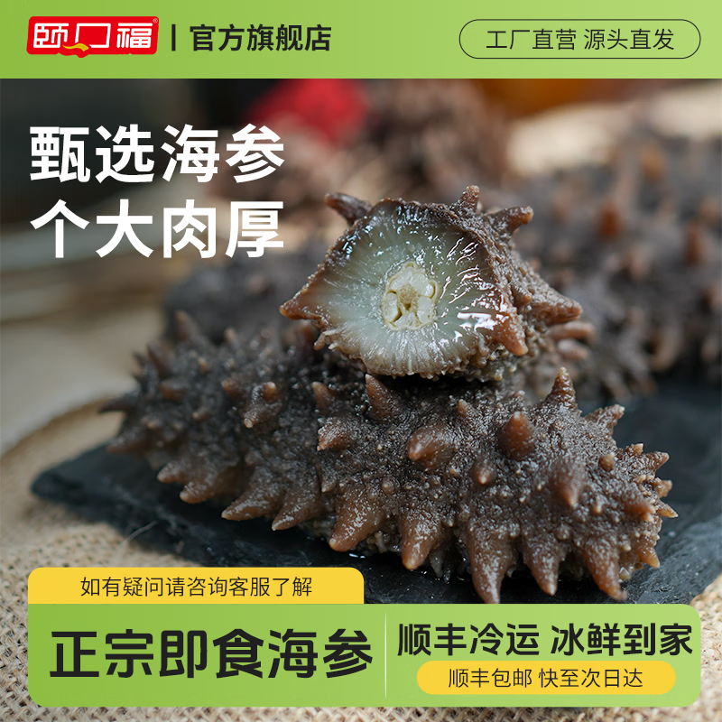 颐口福大连鲜食海参野生底播9A国产海参礼盒顺丰包邮海鲜水产礼盒礼品 即食海参500g  (18-22只/斤）