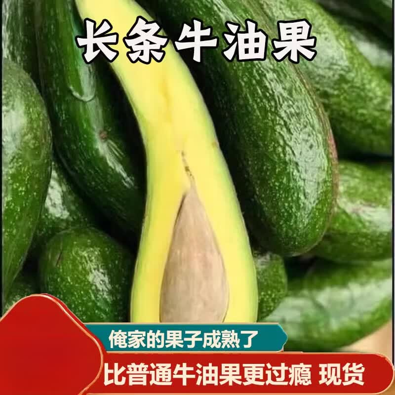 越南进口牛油果304长条大果新鲜当季热带水果果汁 1斤装【1斤约1-3个】 0个