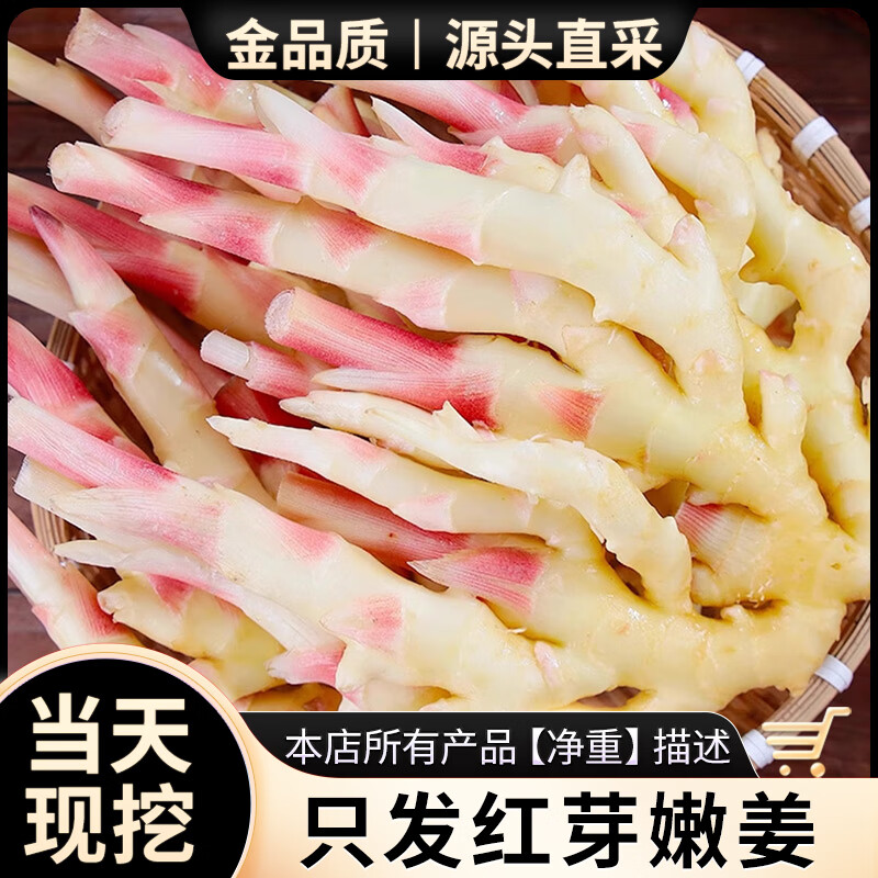 亨迅山东红芽嫩姜芽现挖仔姜生姜子姜泡菜材料葱姜蒜椒新鲜蔬菜 红芽嫩姜 净重 5斤