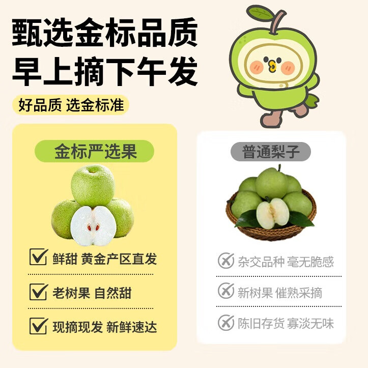 鲜其正宗砀山梨青梨翠冠梨10斤水果整箱批发青皮梨应季新鲜酥脆多汁 3.5斤【首次尝鲜-少量装】 【首推规格】精品果I单果250g+
