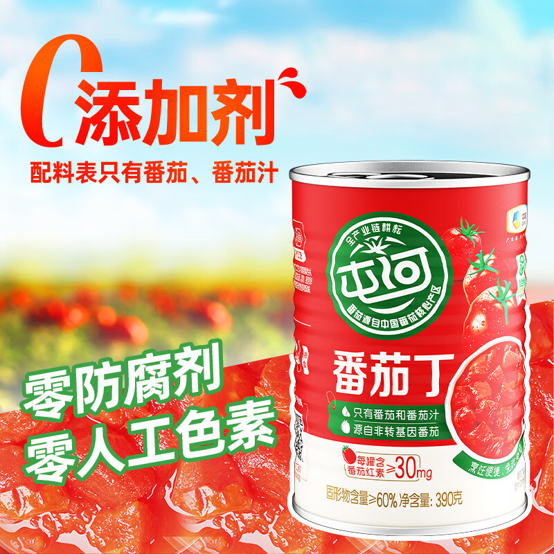 屯河内蒙新疆番茄丁自然成熟新鲜番茄切块无添加剂0脂肪西红柿块罐头 番茄丁390g【有效期至27年8月】 6罐