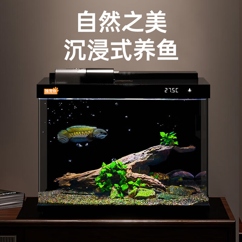 ������ɭɭͬ������С���⻻ˮ��̬���һ�����ѭ���Զ�ιʳLE480B