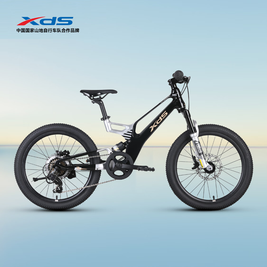 喜德盛青少年儿童自行车镁驰镁合金车架油刹7速变速骑行运动健身代步车 耀光黑 20英寸