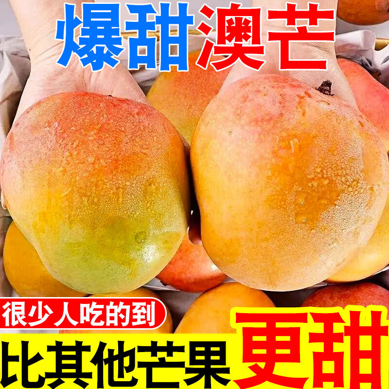 云南澳芒芒果整箱 5斤特大果