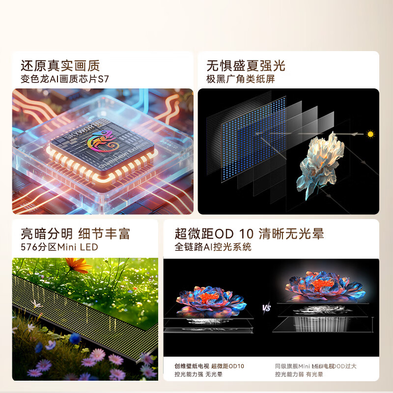 展示图 5