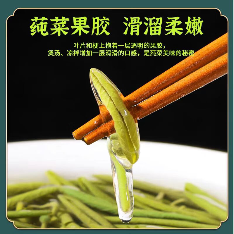 花农氏苏州太湖新鲜莼菜350克嫩芽级野菜西湖莼菜马蹄菜利川纯菜食用