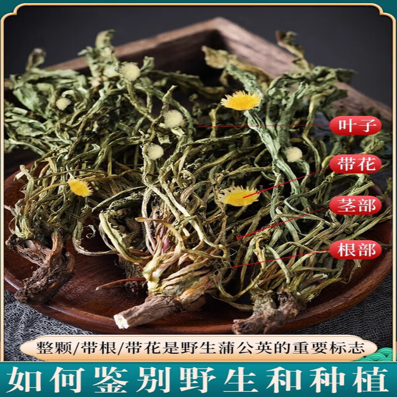协穆【胖东来甄选】蒲公英野生整根500g蒲公英茶根正品特级中药材夏枯 夏枯草500g