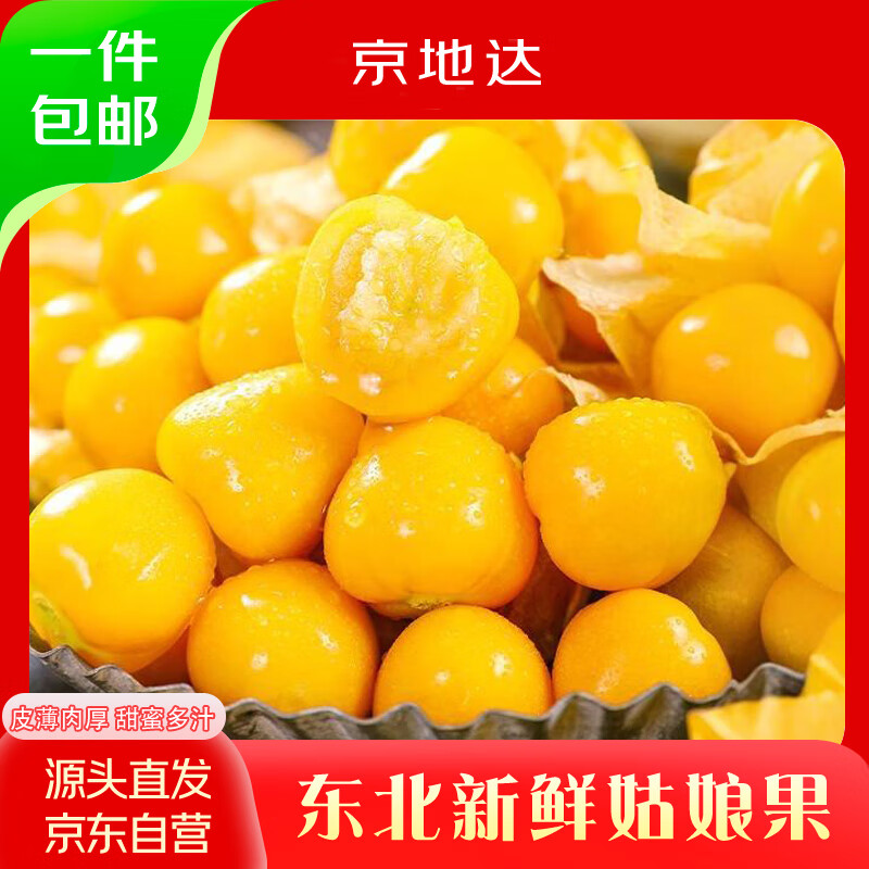 京地達(dá)云南特產(chǎn)新鮮菇娘果凈重4斤單果3g起燈籠果黃姑娘果源頭直發(fā)包郵