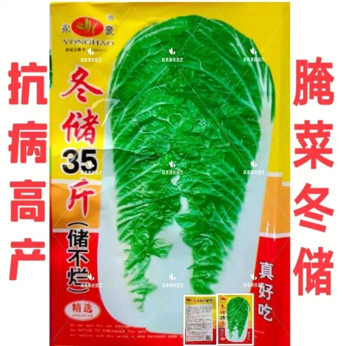 冬儲35斤白菜秋播大白菜種子高產(chǎn)特大北方耐寒耐儲藏越冬白菜籽 冬儲35斤白菜種子3包約2700粒