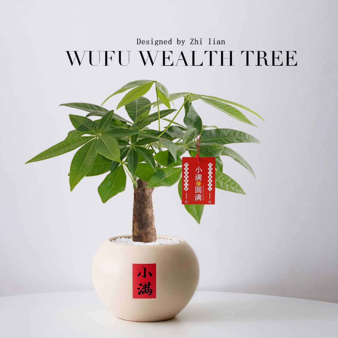 喜鹊说发财树小盆栽四季植物室内客厅中式禅意招财树绿植办公室桌面盆景 单杆发财树+圆球陶瓷盆+白塑托（小满贴纸+吊牌） 带盆栽好