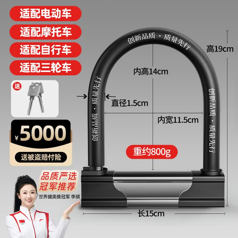 迅霆（XUNTING）电动车锁u形防盗电瓶摩托车山地自行车锁单车超C级U型锁抗液压剪 黑色800g【全实心】2把钥匙 京东折扣/优惠券