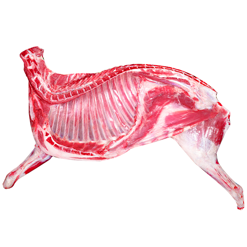 ���� ����̲���� ���ʷָ��ֻ�������� ����8�� ���� Դͷֱ�� 248Ԫ