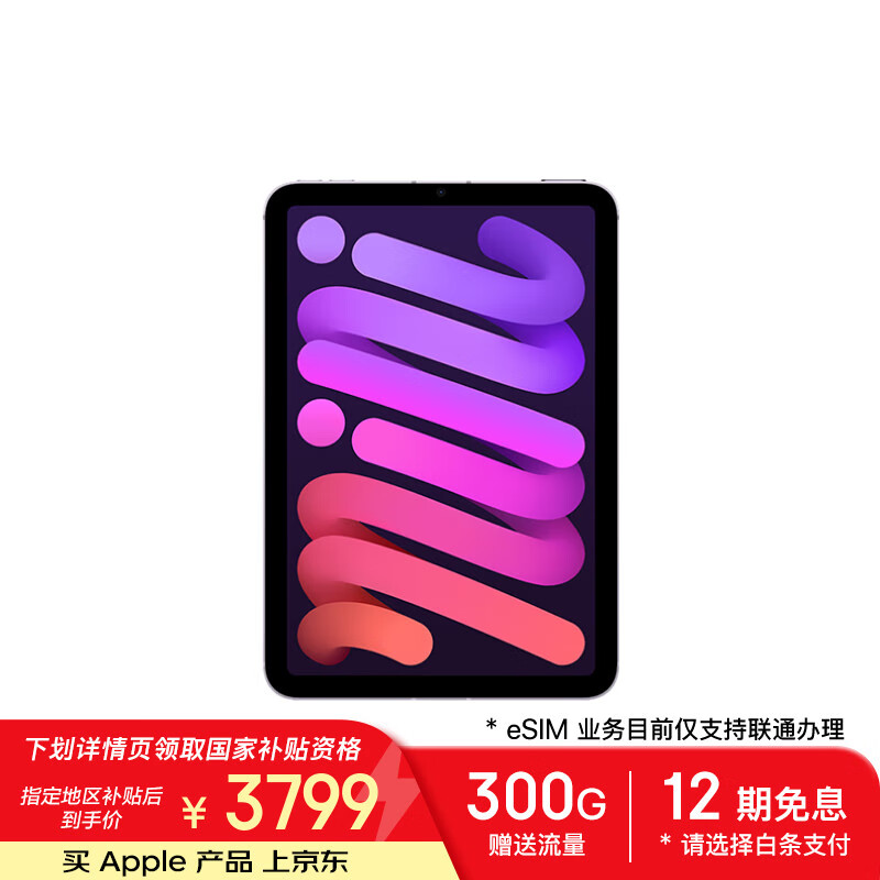 Apple/苹果 iPad mini (A17 Pro) 8.3英寸 平板电脑(256G eSIM版/mini7/MXQ73CH/A)紫色