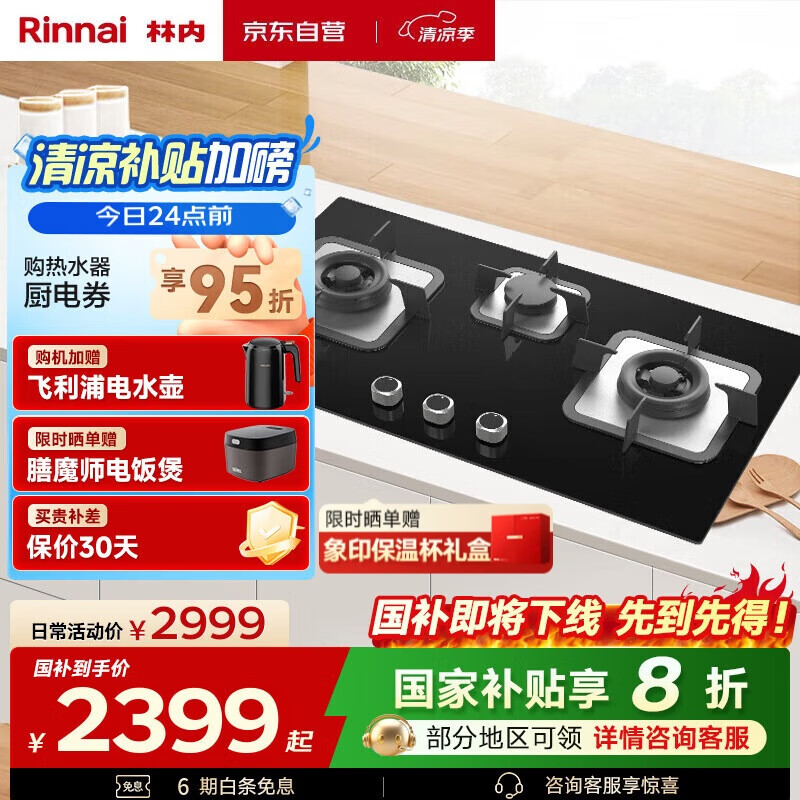 ���ڣ�Rinnai��ȼ������Ȼ�����ҵ���Ҳ���20%������������5.0KW�ͻ���̨Ƕ����˫��� Ϩ�𱣻��������3E07M