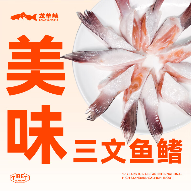 需烹饪青海龙羊峡虹鳟三文鱼鳍鱼头鱼骨 冷冻鱼鳍