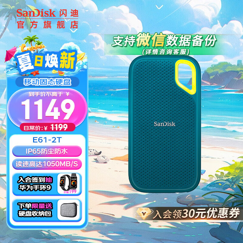 闪迪（SanDisk） E61卓越版 时尚多彩移动固态硬盘 PSSD 大容量存储小巧便携兼容电脑 E61卓越版-松柏青-2Tb（送收纳包）