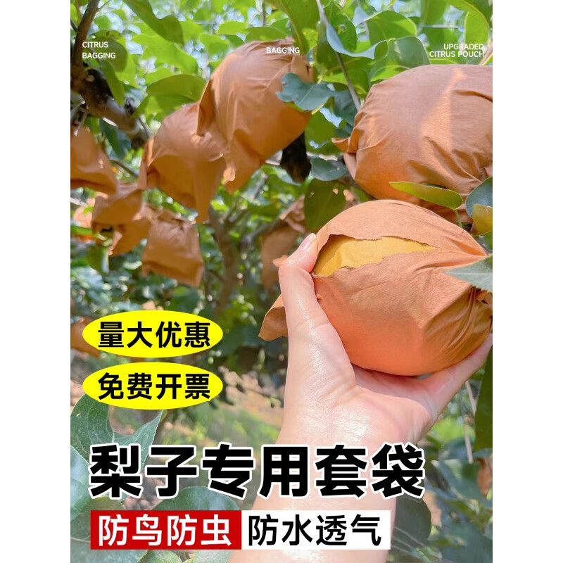 ���ڲ���������ˮ���״�������ˮ���״����ߴ���ݮ��������ר��ֽ������������� ˫��ƽ�ڿ�-����ڻ�18*22-100��