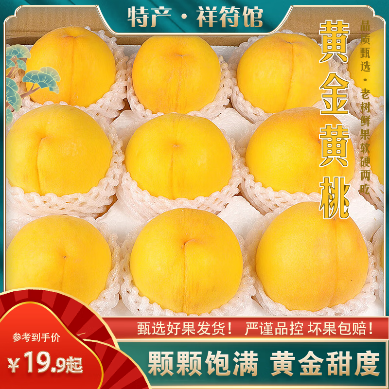 骑猴赶马 黄桃净重2.8斤