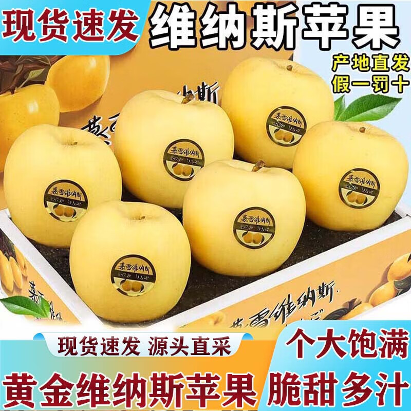 京蚨鲜【顺丰/JD】山东黄金维纳斯苹果团购送礼年货节礼盒 带箱9-10斤大果【80-85mm】净重8.5
