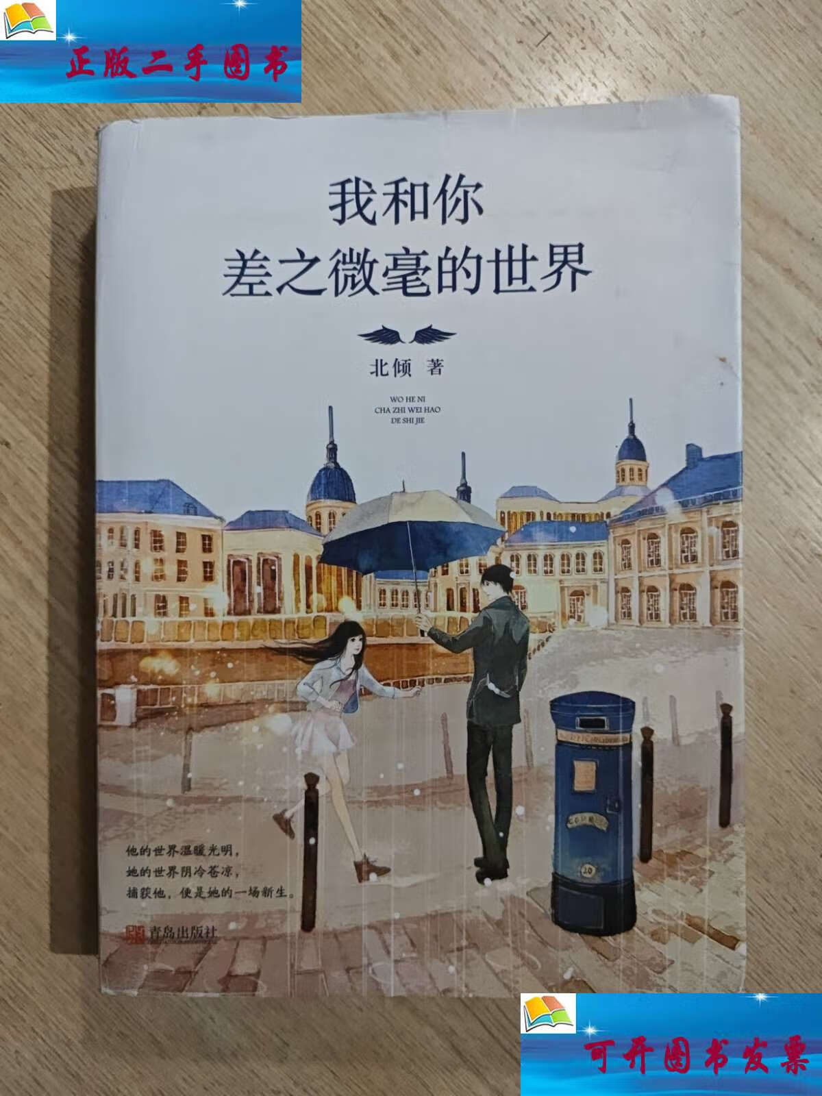 我和你差之微毫的世界北倾