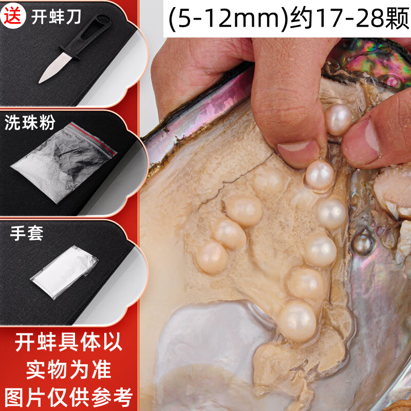 沐欢莼天然淡水珍珠蚌五角星活蚌珍珠自开河蚌活体异形珍珠diy珍珠材料 多珠蚌1个 送开蚌工具