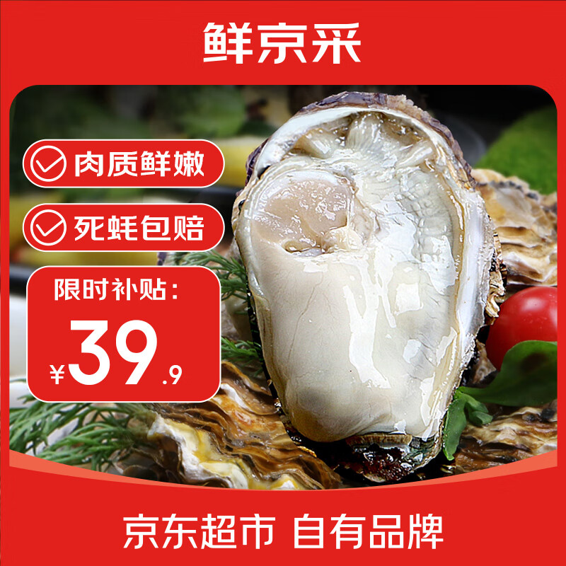鲜京采【活鲜】生蚝净重5斤 3XL 13-18只装 源头直发 海鲜水产