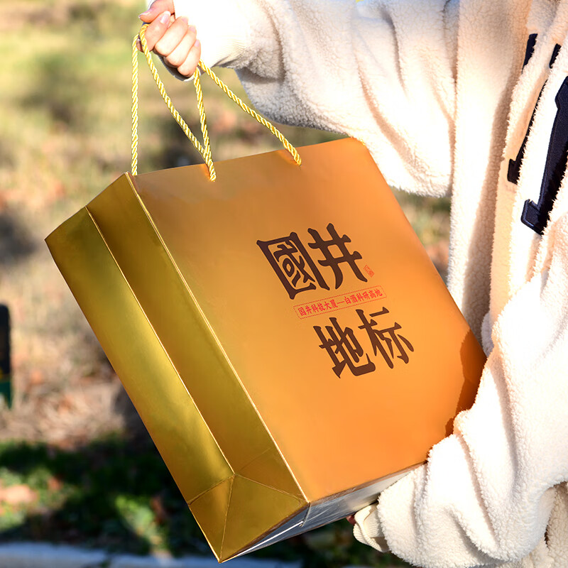 国井白酒 套装53度国井地标+52度鸿运高照 纯粮酿造年货送礼收藏白酒 53度 480mL 2瓶 （以主图为准）