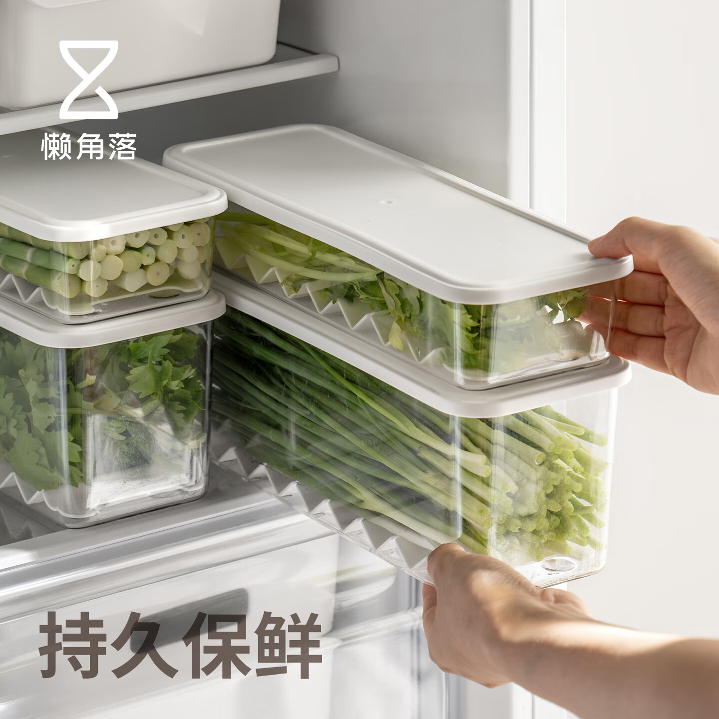懒角落冰箱收纳盒香菜保鲜盒食品级食物蔬菜整理储物盒密封储藏分装 小号