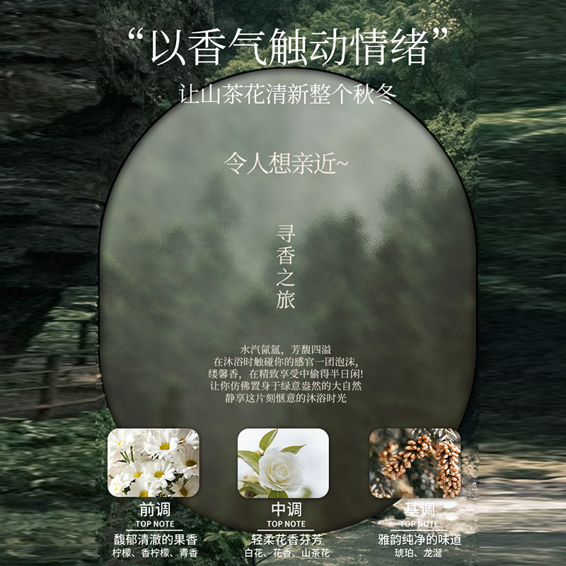 爱兰歌娜山茶花洗发水旗舰店正品男女士去屑止痒控油蓬松持久洗头膏洗发露 山茶花洗发水 750ml*1瓶