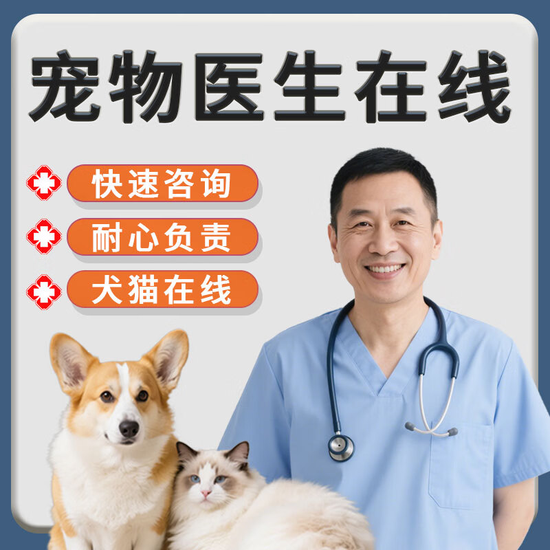 宠物医生在线咨询兽医问诊犬猫咪狗狗诊所生病医疗服务咨询24小时 猫咪专拍[15年宠医经验]