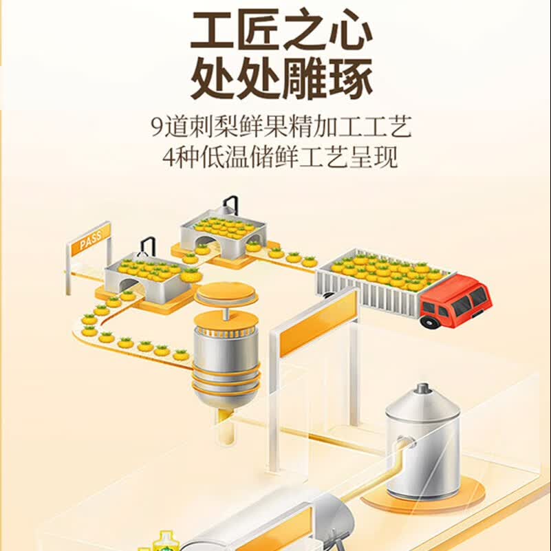 龙刺里贵州特产刺梨汁刺梨原浆原液高维C原浆果汁 刺梨原汁便携式袋装（30ml*8）