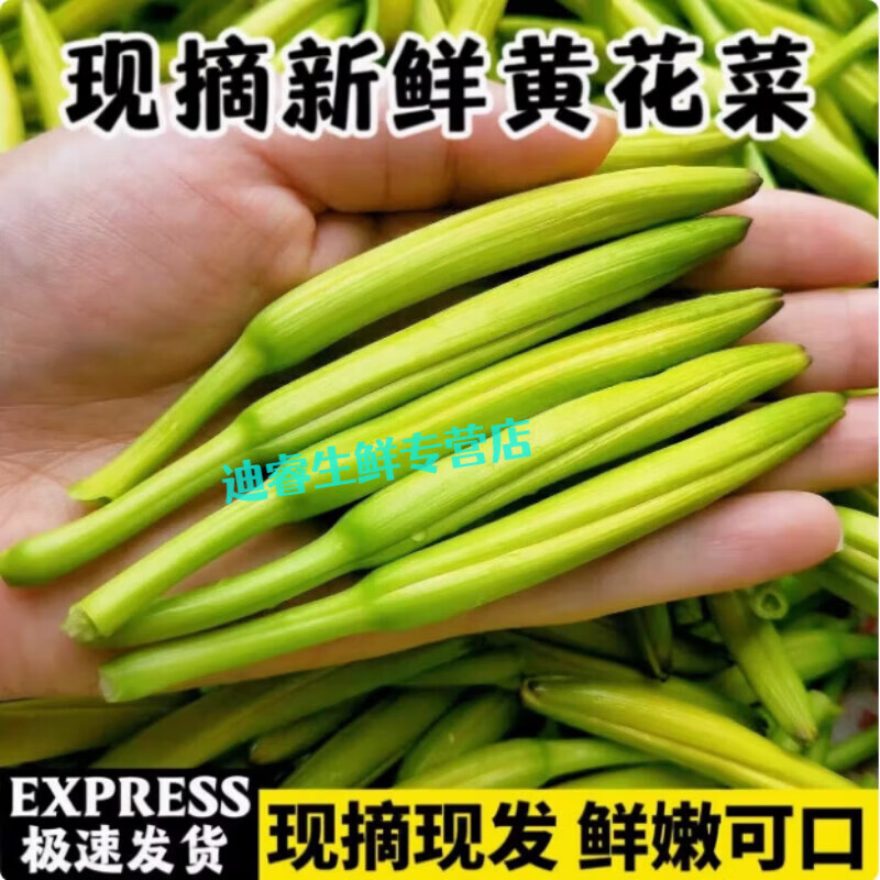 桃西村【順豐】新鮮黃花菜現(xiàn)摘野生金針菜農(nóng)家野菜時令蔬菜涼拌菜酒店菜 1000g