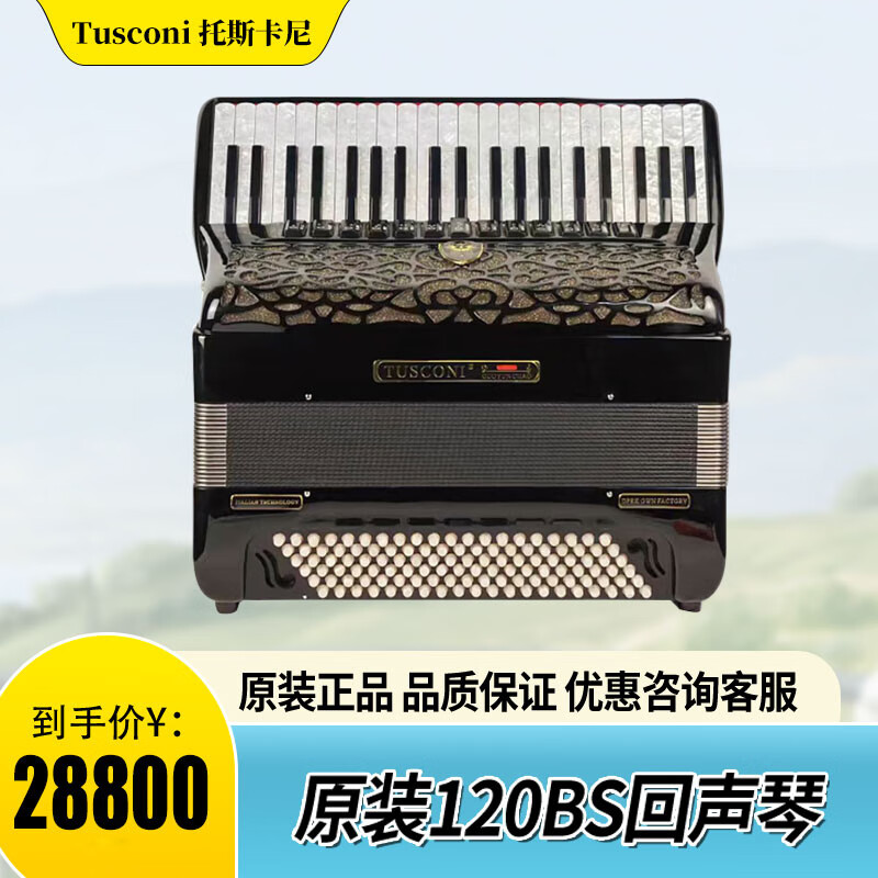 tusconi托斯卡尼回声手风琴原装进口意大利音簧 冰花按键120贝斯专业